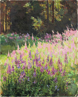 Шипиленко Александр Кузьмич. Артёмово. Иван-чай